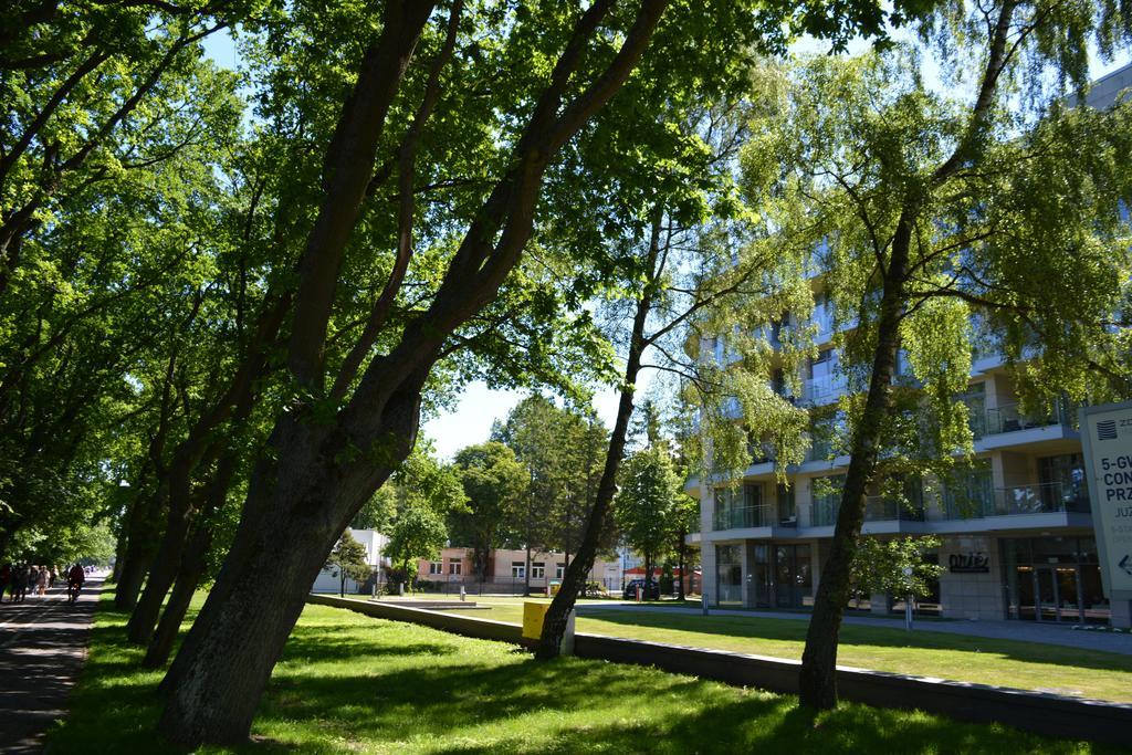 Promenada - Diune